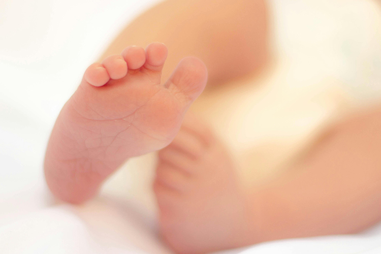 试管婴儿移植着床原理：生命奇迹的科学探索